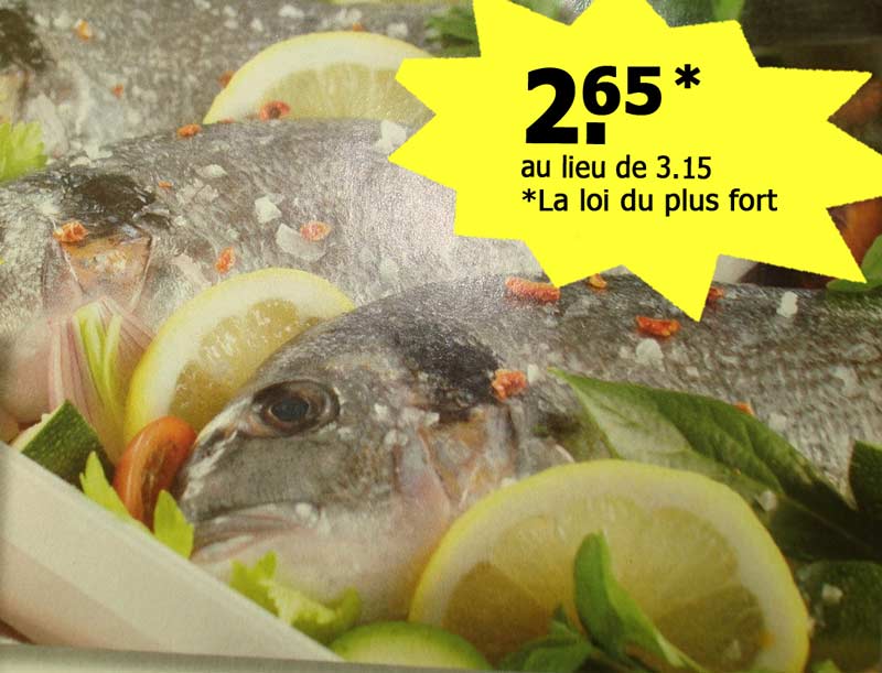 La Loi Du Plus Fort